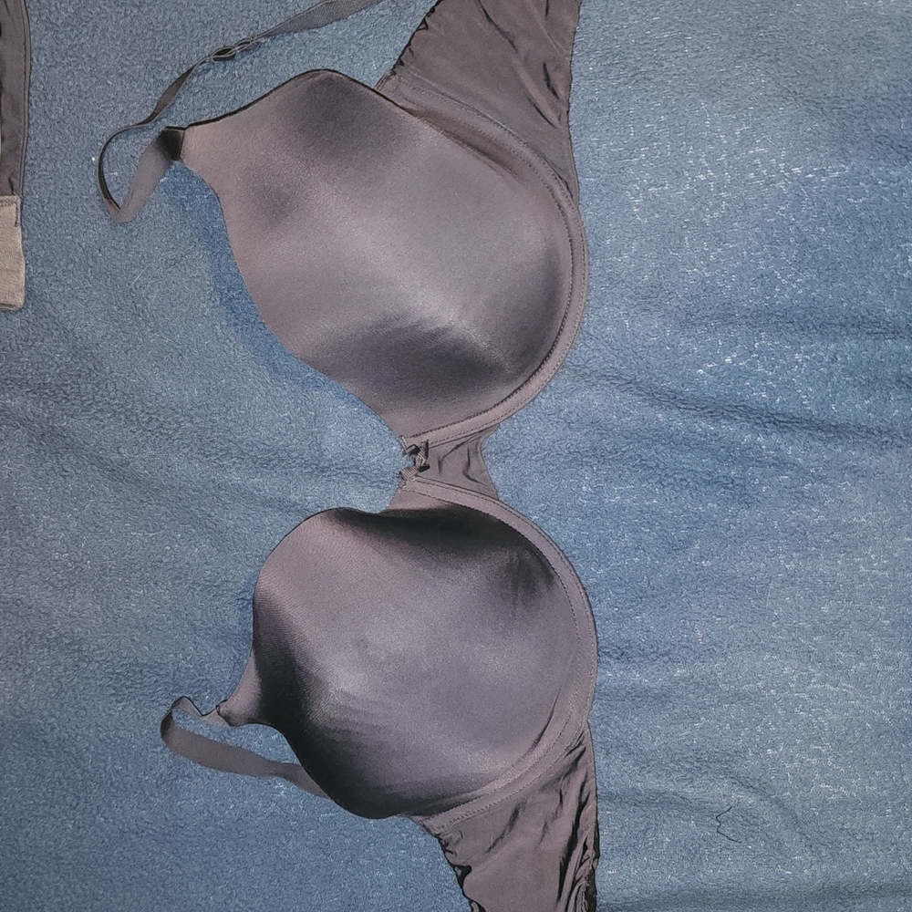 Gilligan and O'Malley Bra 36DD